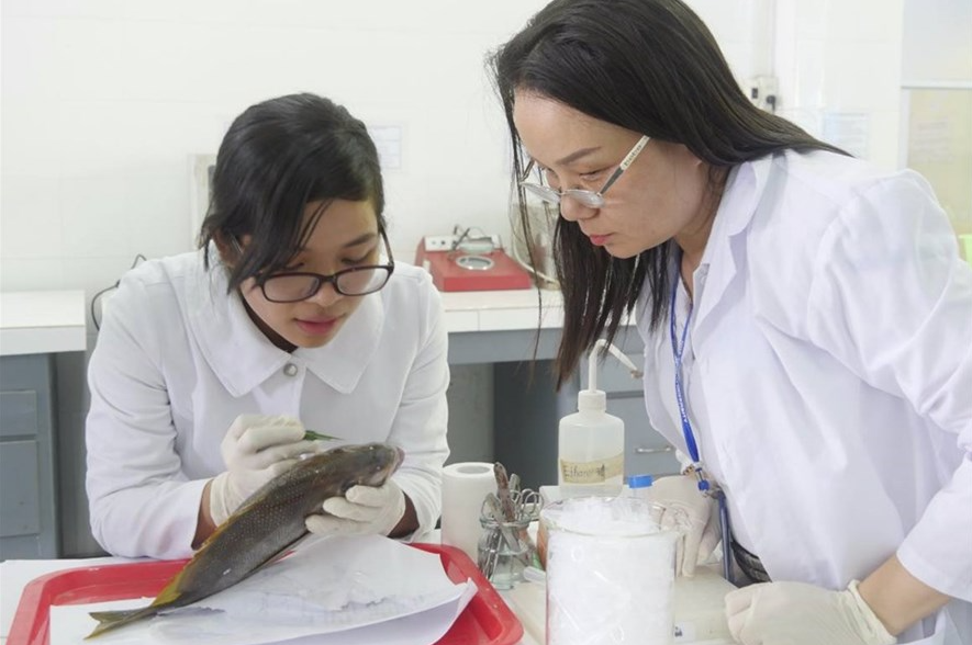 vietnamese scholars receive 3 grants for us scientific research